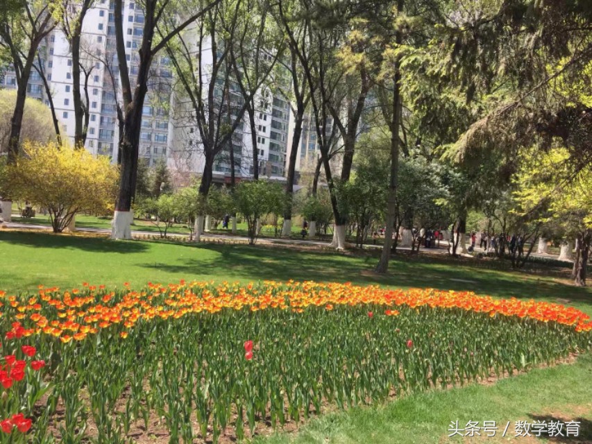 怎么用数学来解释足球,数学足球有哪些小知识