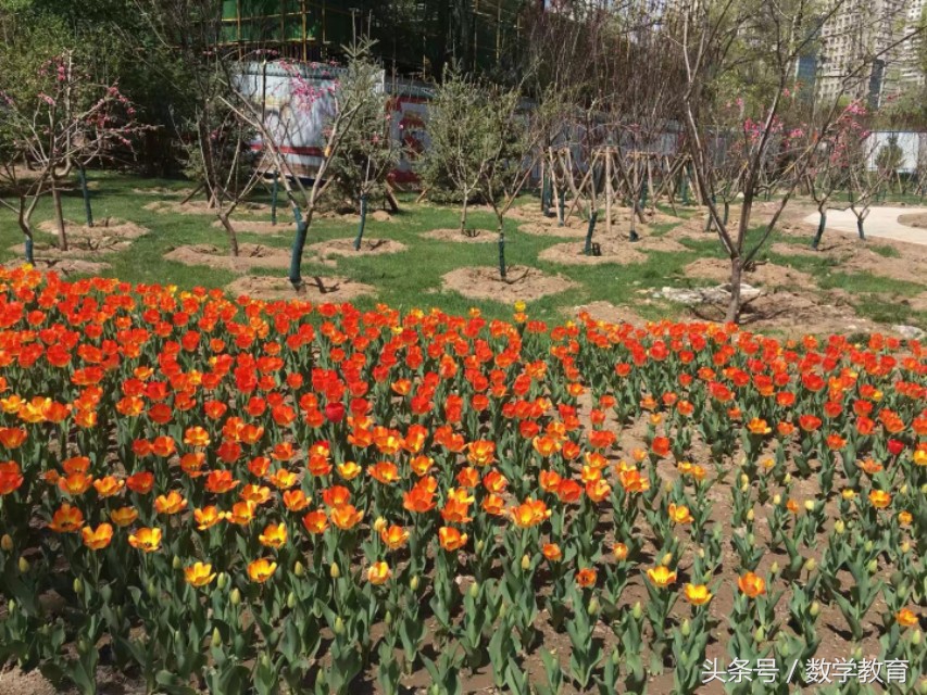 怎么用数学来解释足球,数学足球有哪些小知识