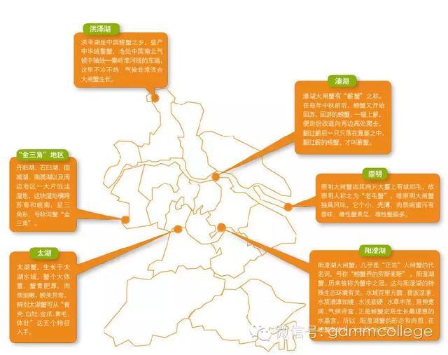 大闸蟹生活常识大全,大闸蟹你不知道的一些知识点