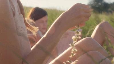 狗狗大便第一次干第二次稀,老年狗狗大便稀出血