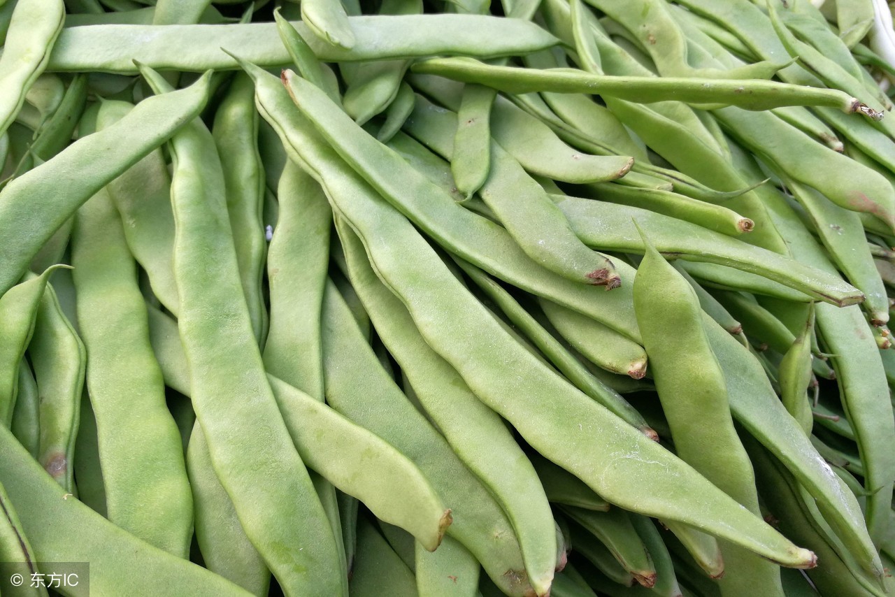 推荐6种豆角美食,6种豆角
