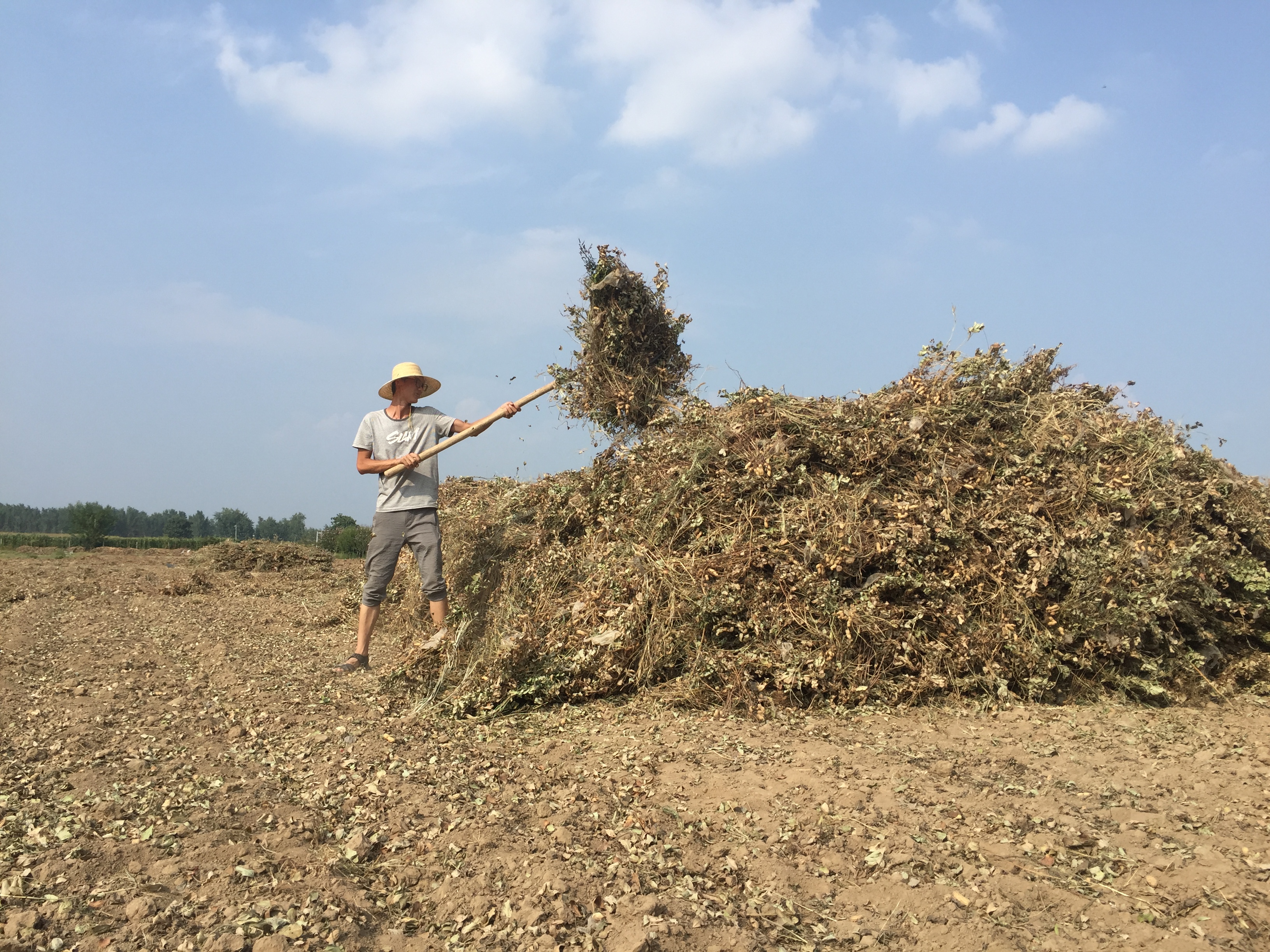 电商让淮阳农产品插上腾飞的翅膀