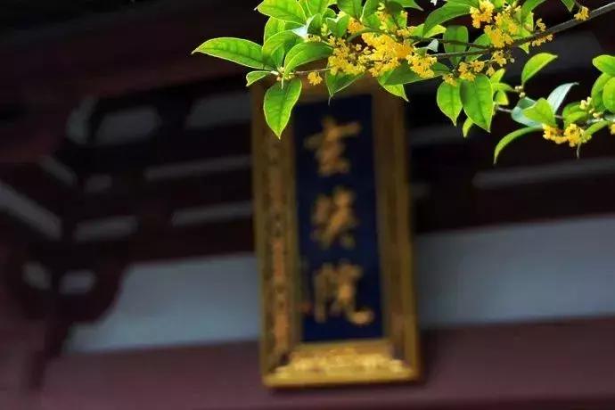 10月新低！广州出发机票仅180块！坐飞机玩转抖音最火网红地