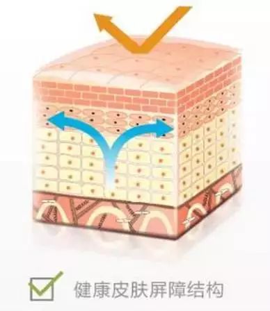 秋季孩子身上痒是什么原因,秋季宝宝身上起红疙瘩越挠越痒