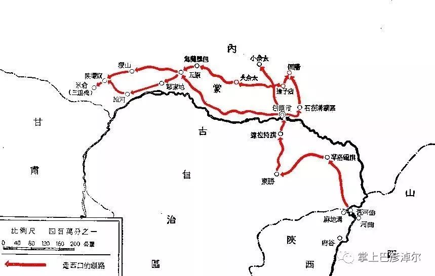 河套小麦知识,河套小麦为啥好