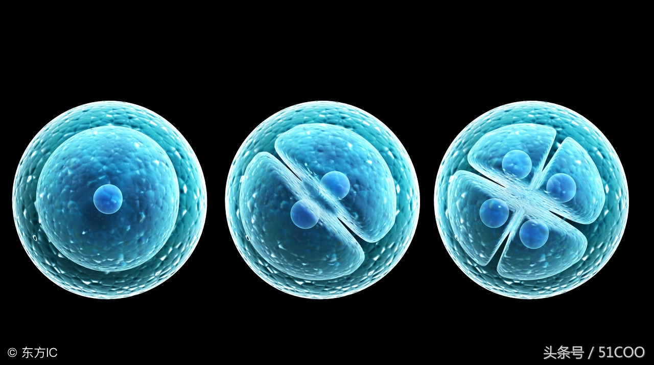 红利快速消退，这是低成本裂变涨粉的一股清流！