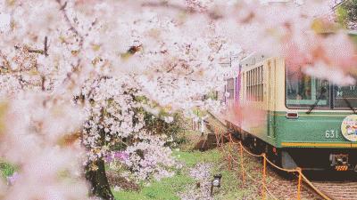 小学英语短语大全汇总,小学英语重点单词句子归纳