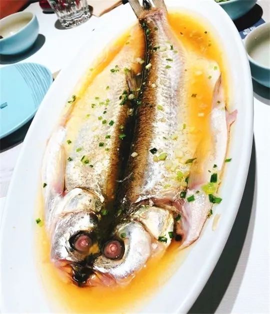 吃遍大连丨新店雨后春笋般冒了出来，一个比一个更具诱惑力！拔不拔草你们说了算？！