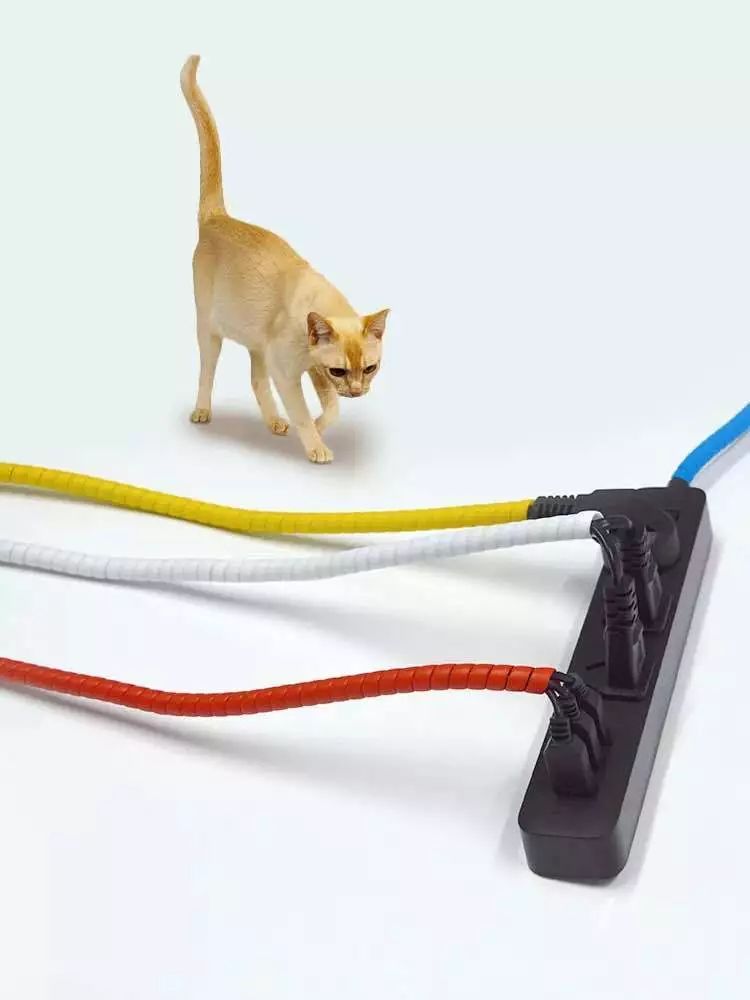 哈哈哈哈哈哈哈哈这届猫奴的智商有点高！