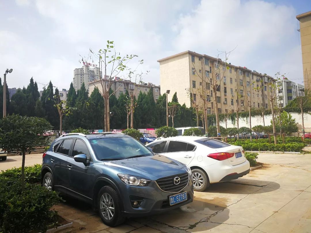 美了美了钢琴曲二胡,美了美了越南红歌