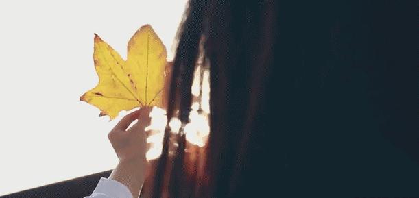 秋日上海城市漫步,秋日的上海街道