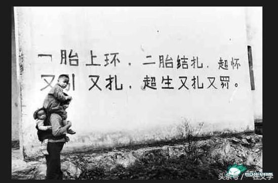 莫言蛙的真实故事,莫言的蛙中姑姑的故事