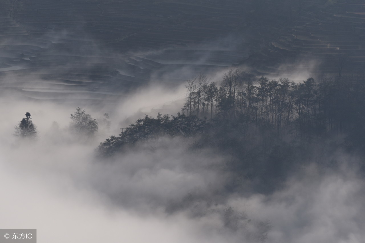 小窗幽记经典名言,10句小窗幽记经典语句