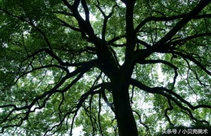 吹呀吹创意美术,创意美术我爱吹泡泡