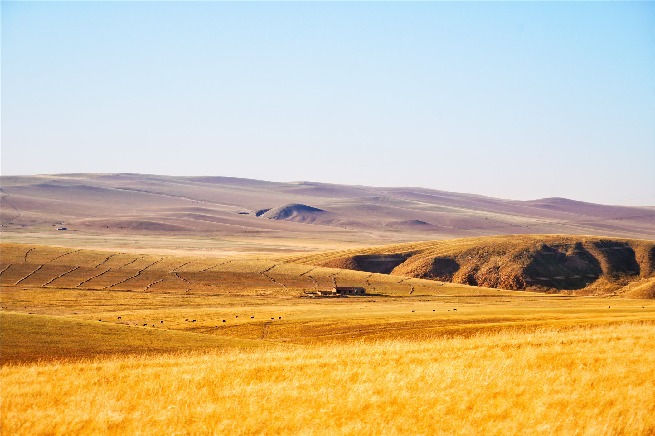 锡林郭勒大草原冬天旅游攻略,锡林郭勒大草原旅游攻略全部