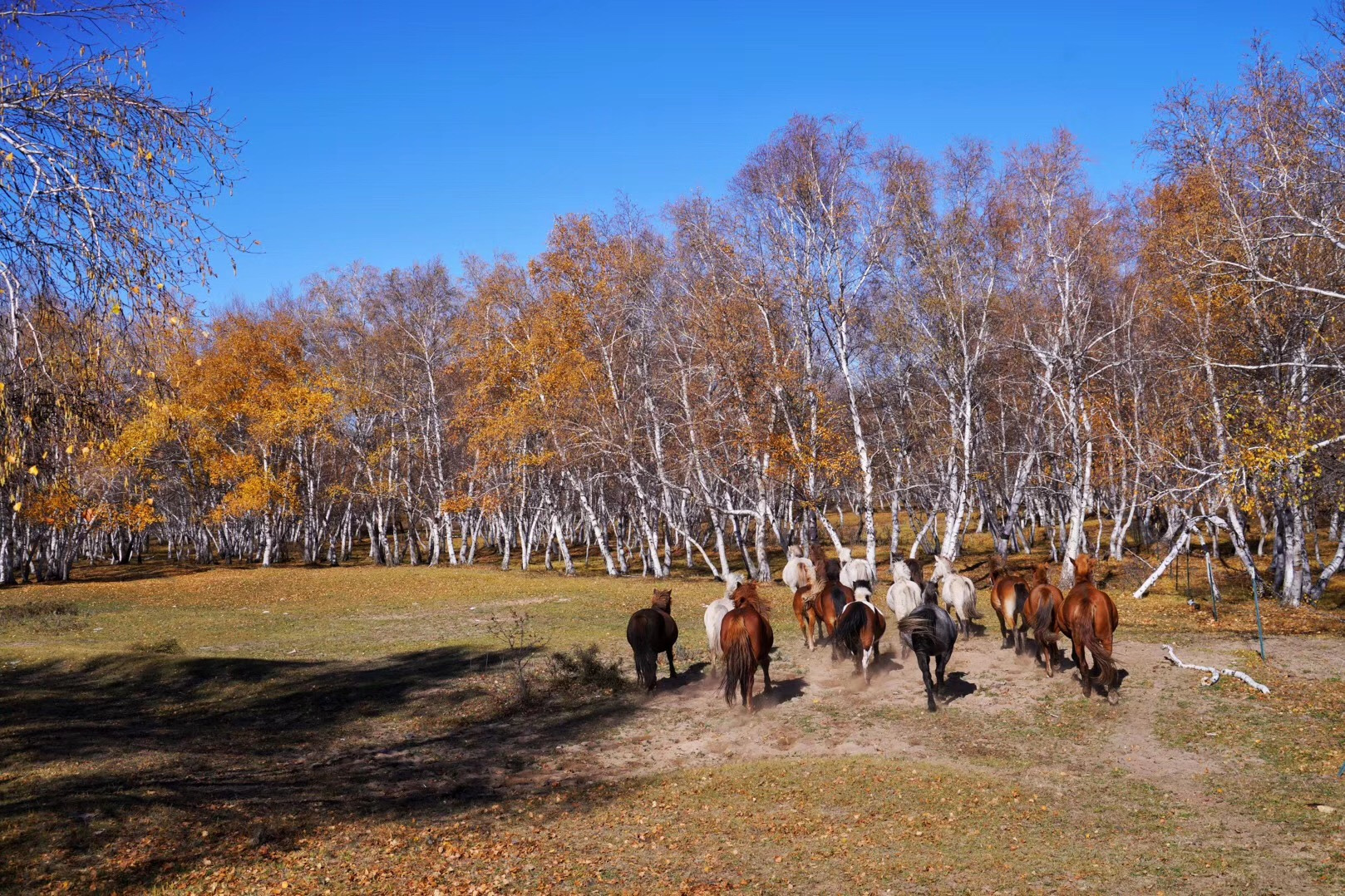 锡林郭勒大草原冬天旅游攻略,锡林郭勒大草原旅游攻略全部