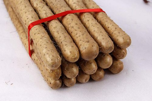 焦作怀山药四大怀药,四大怀药怀山药图片