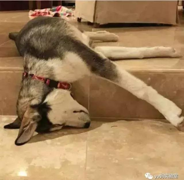 带着两个小孩真的累,带着俩孩子去深圳