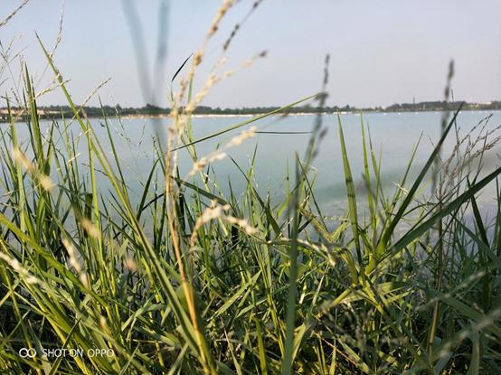 oppok10和k9pro哪个更值得买,oppok1成口碑首选颜值和配置真香