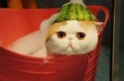 装修前必备10件神器,装修必备十款神器