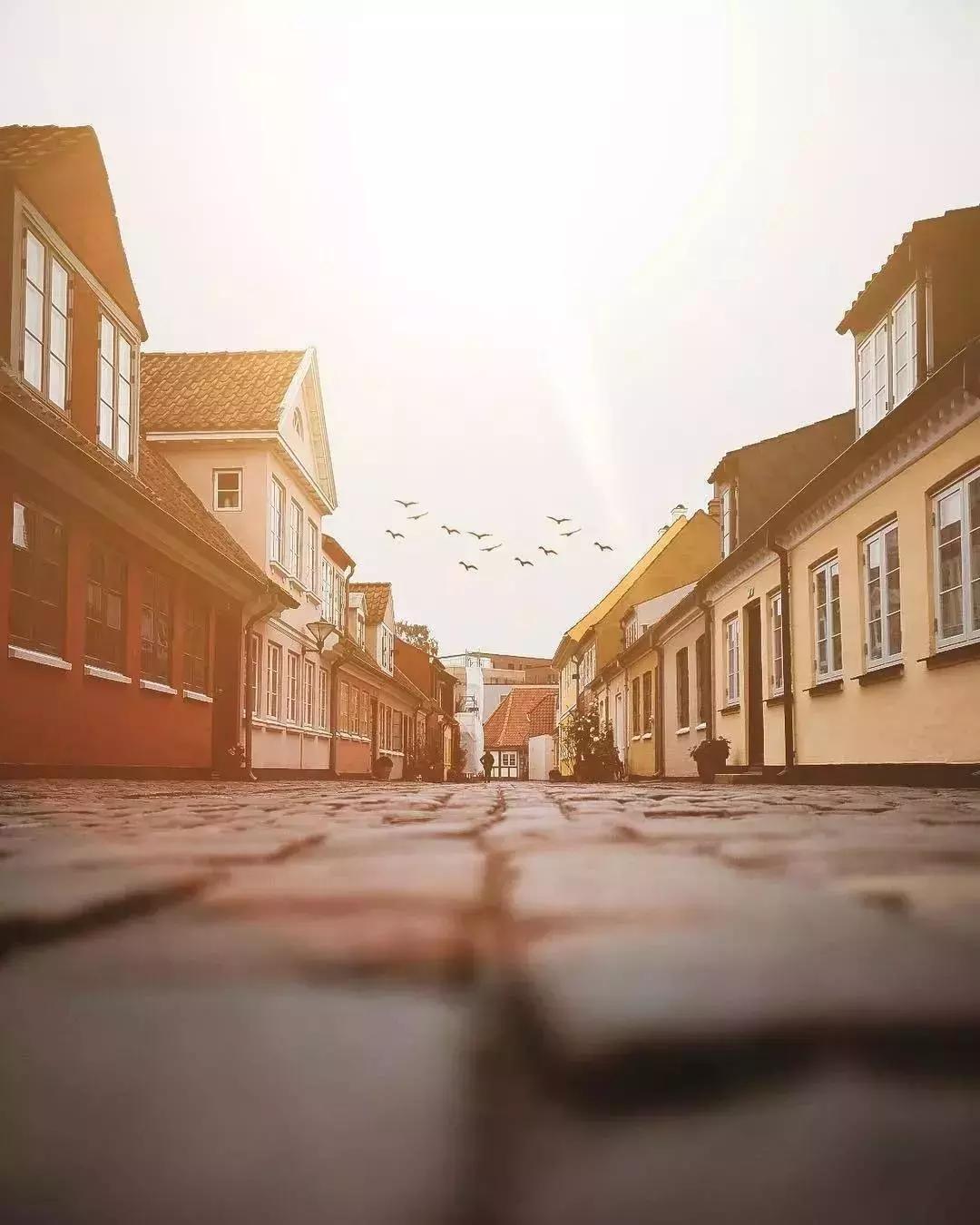 高晓松的言论,高晓松在欧洲的故事