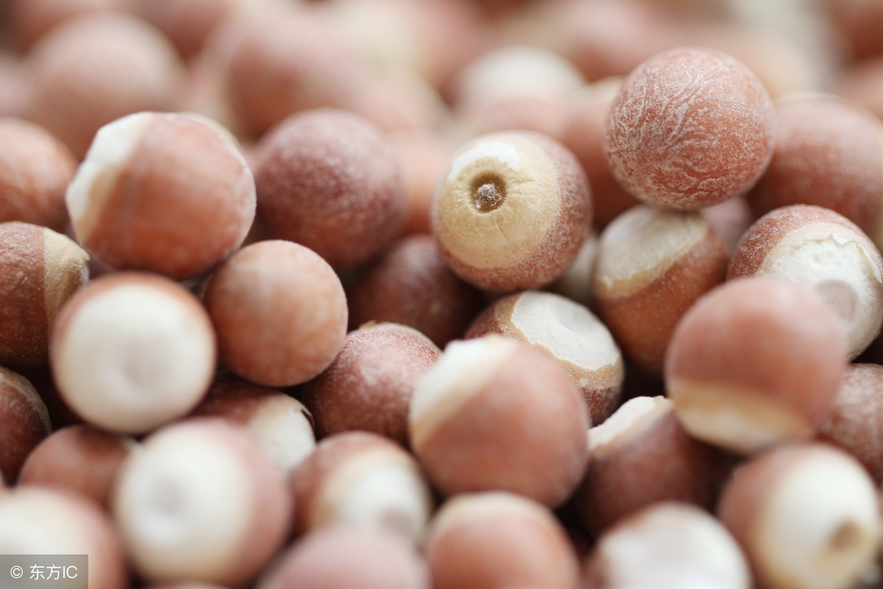 女人肾虚小妙招,治疗肾虚早泄的小妙招