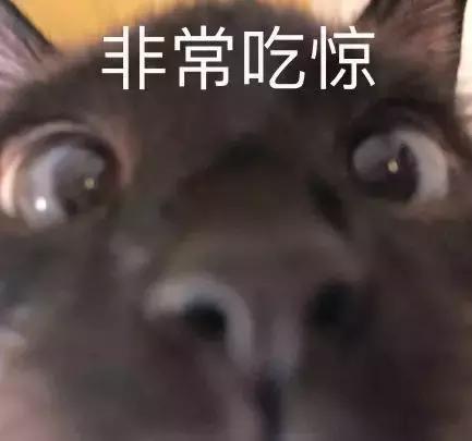 暹罗怎么不变白,暹罗变黑变不回来怎么办