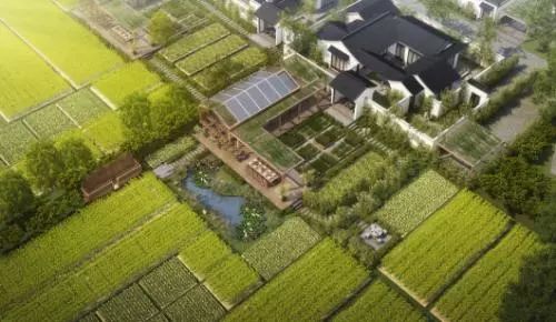 蓝城发展模式,蓝城打造的小镇