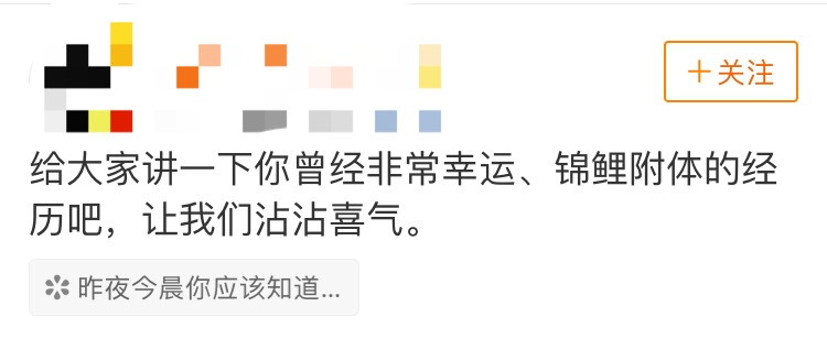 中国锦鲤的现状,中国锦鲤公布名单