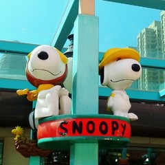 游玩香港,香港亲子一日游最佳攻略自由行