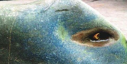 五彩陨石金刚石值钱吗,五彩火星陨石价值