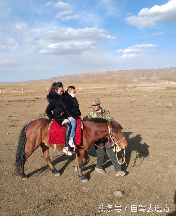 灞变腹鐗ф皯楠戦┈,灞变腹楠戦┈鐗ф皯