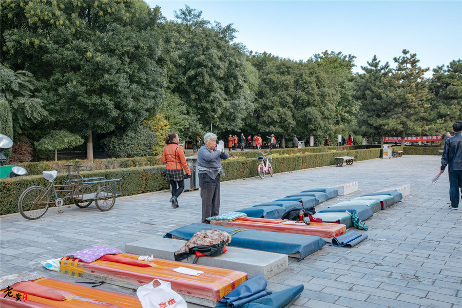 辽宁释迦佛舍利塔,辽宁朝阳释迦牟尼佛真身舍利