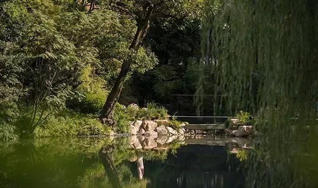 京都四季酒店竹林,日本京都四季酒店