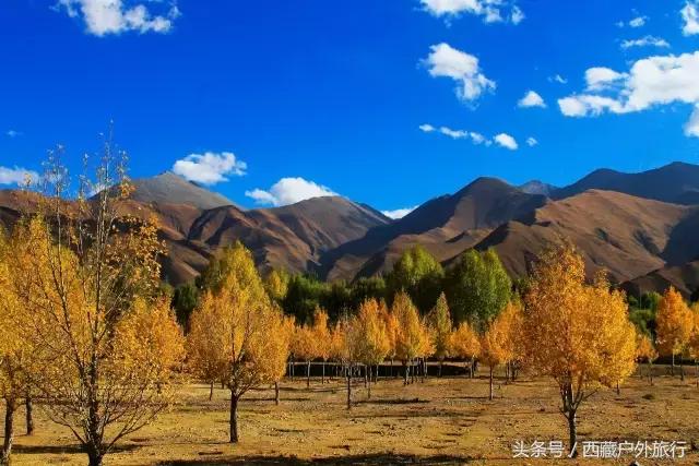 拉萨林芝旅游攻略最新四天三夜,拉萨旅游攻略超详细