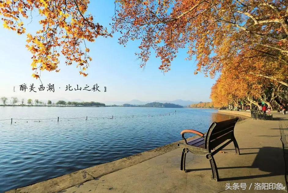 洛阳机场客流,2019年洛阳机场客流