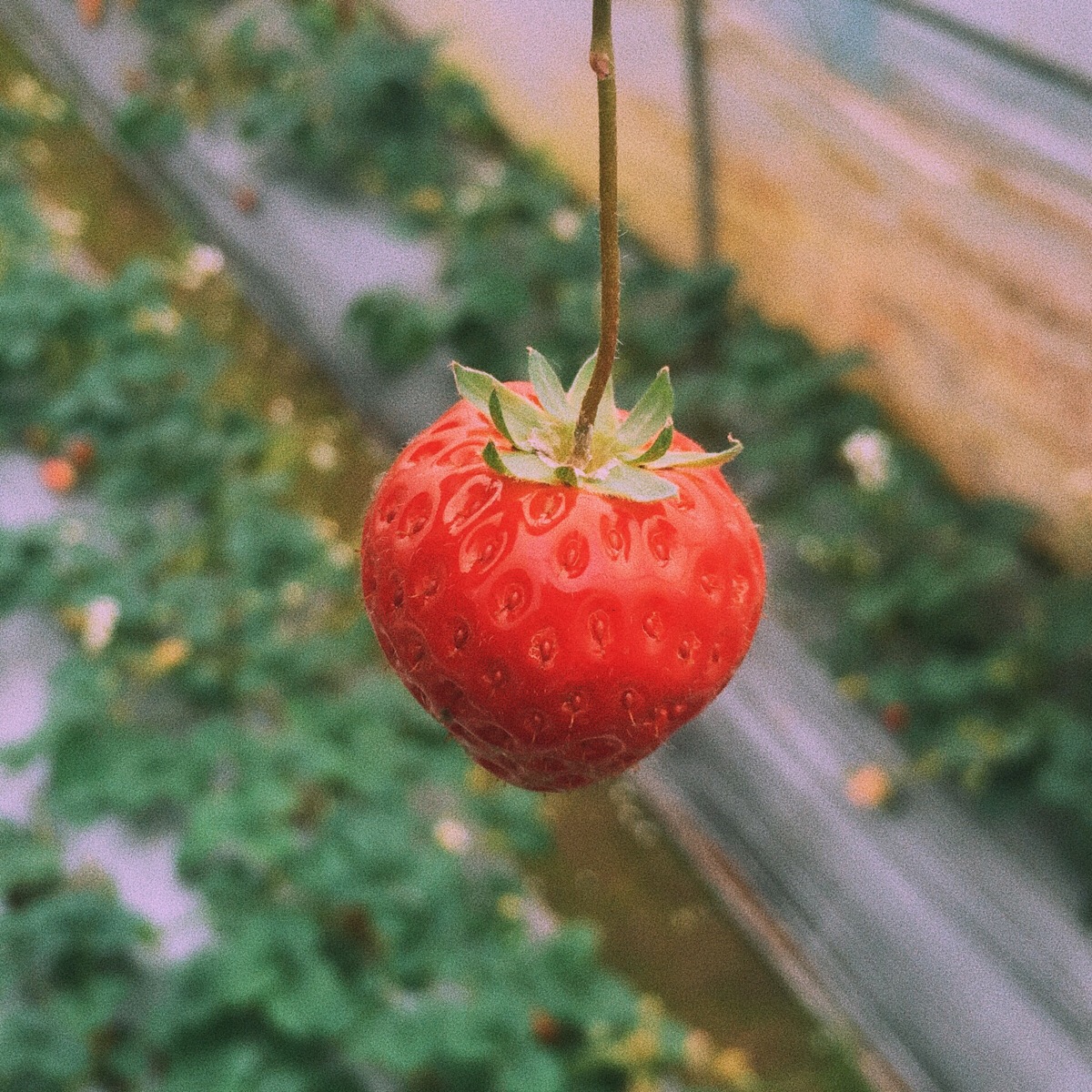 微信相册封面有趣沙雕,微信相册封面有什么讲究吗