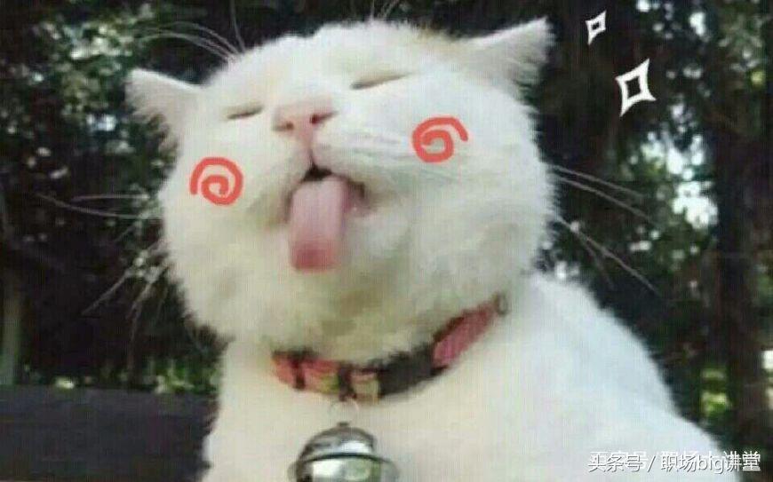 职场最重要的不是能力而是格局,职场拼的不是能力拼的是软实力