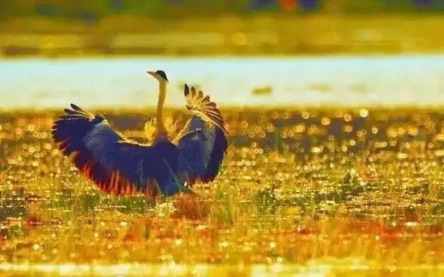 不要去杭州,杭州西湖值得去的地方