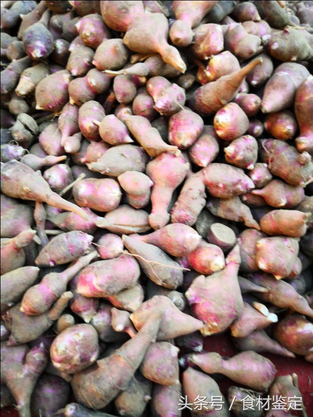 沈阳农贸市场里的美食,沈阳的秋天很美