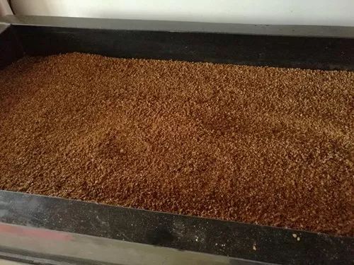 科学乌龟孵蛋教案,鳖蛋怎么孵化小鳖