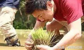 这家卖大米的路边小店，凭啥一年卖出15个亿？