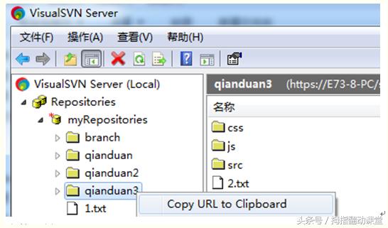 svn使用教程总结,ideasvn使用教程