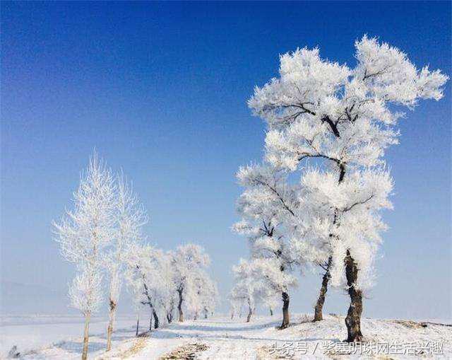 紫塞明珠农家游｜吉林雾凇岛八旗驿站，探索夜看雾，晨看挂的秘密