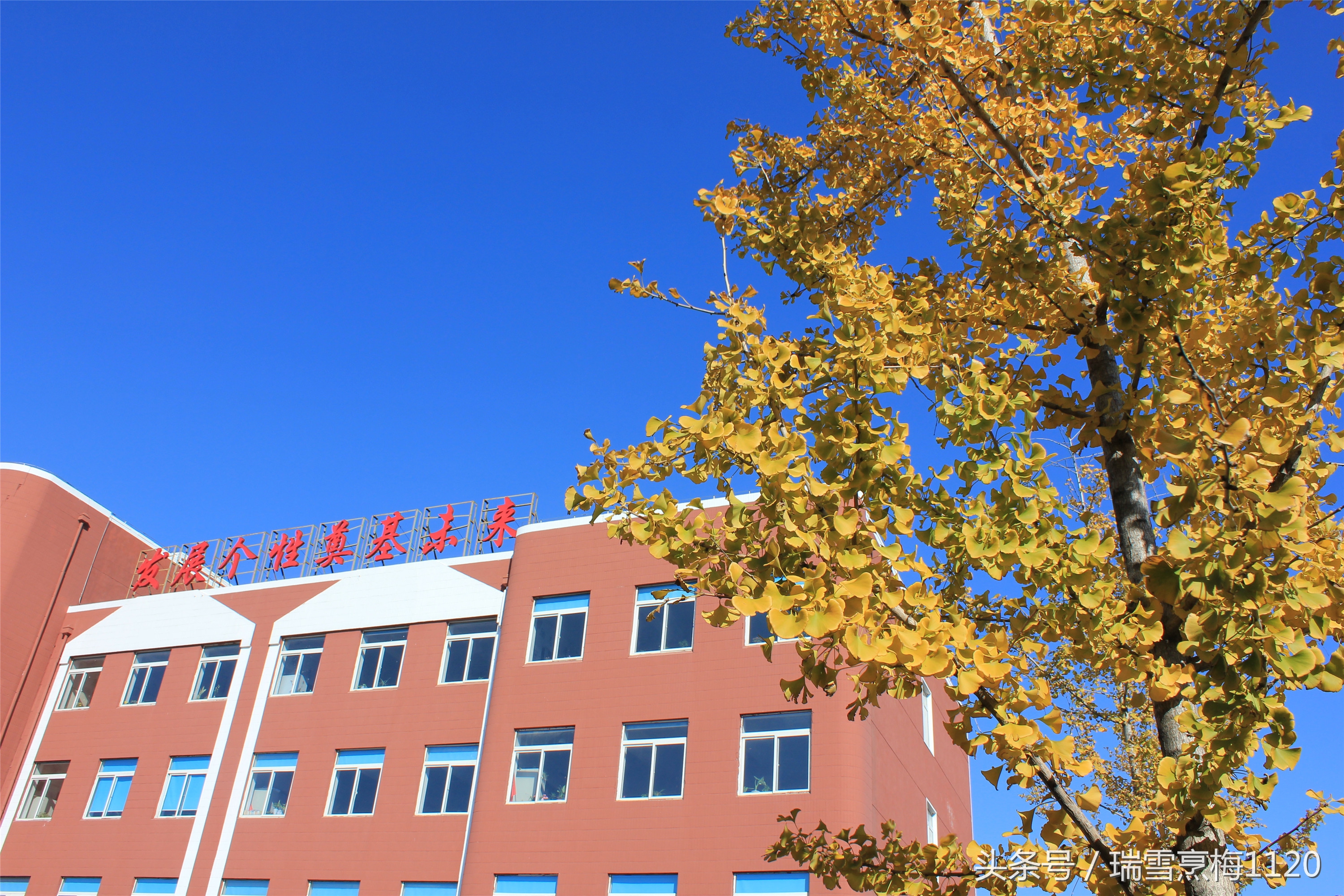 新城子街第一小学教学开放月邀请函