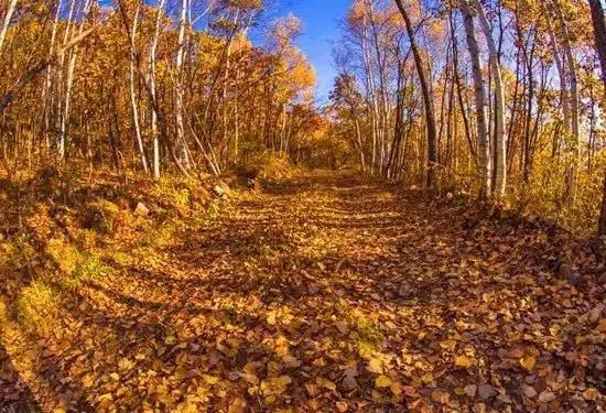 黑龙江五月穿衣攻略,十月黑龙江自驾游