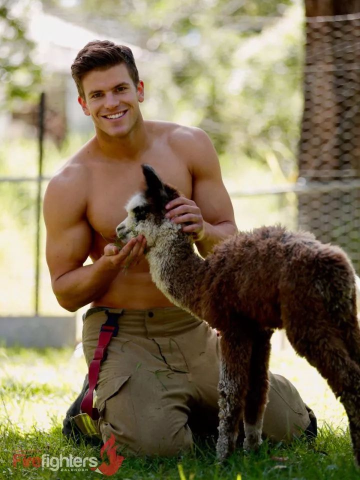 一组热到爆的猫片，对不起我要流鼻血了……