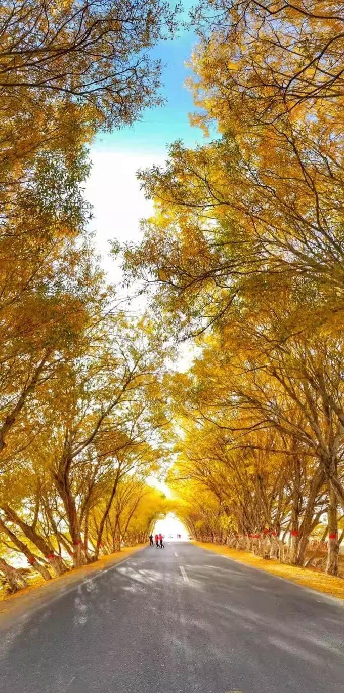 这一生一定要去的地方中国,旅行攻略此生必去的12个地方