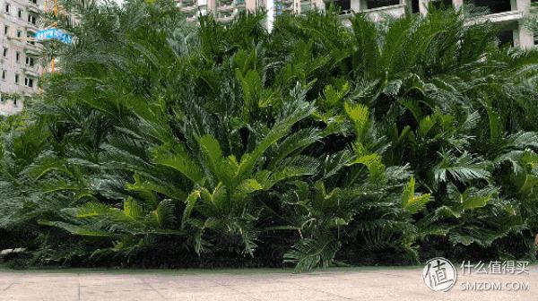 哪个航司的机票最便宜,哪个航司服务最好