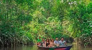 沙滩、美女、探险……巴西满足您对旅行的一切美好想象